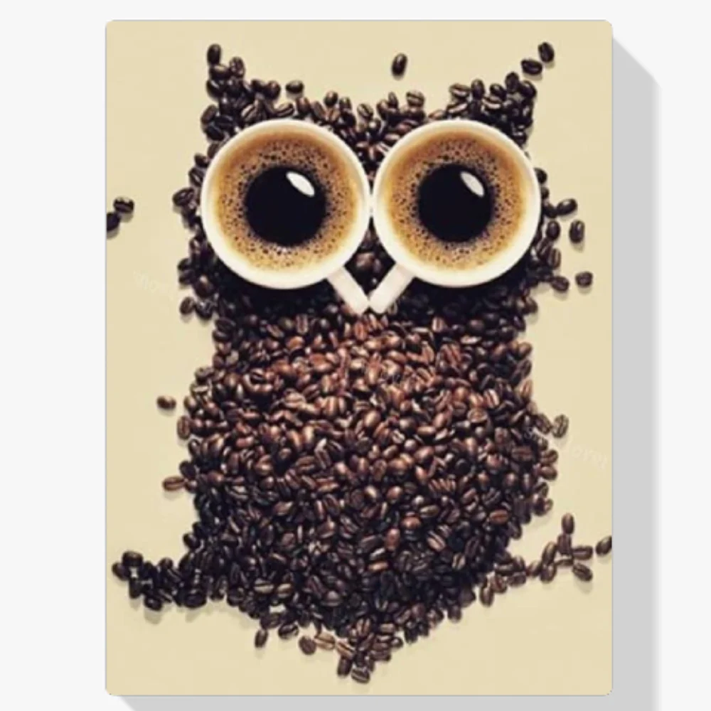 Pintura Diamante - Búho del grano de café