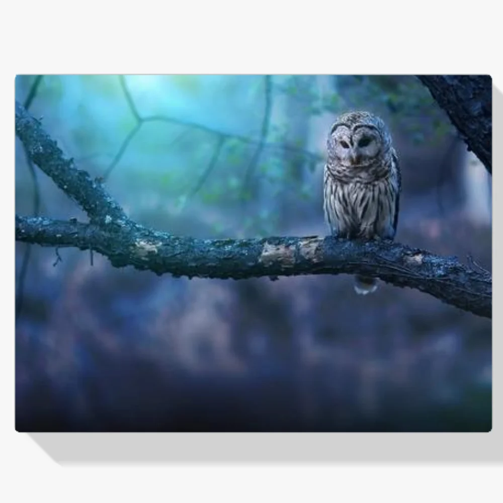 Pintura Diamante - Búho en rama