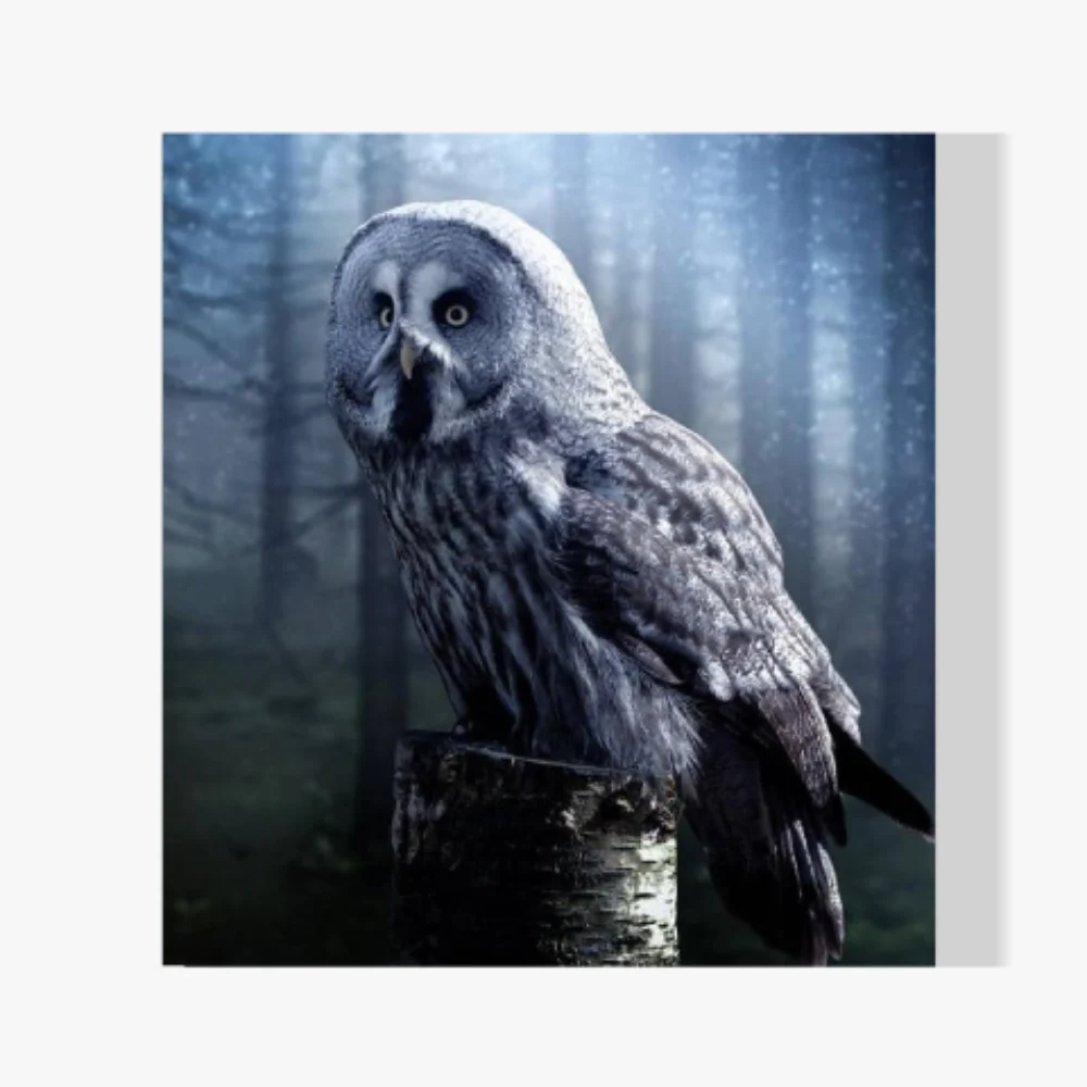 Pintura Diamante - Búho en un árbol