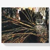 Pintura Diamante - Búho en una rama en la oscuridad