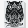 Pintura Diamante - Búho mandala