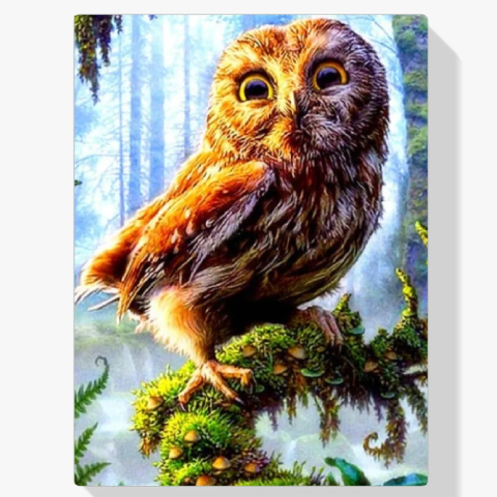 Pintura Diamante - Búho pequeño