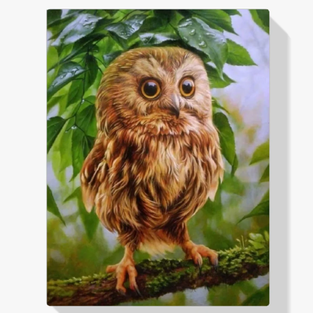 Pintura Diamante - Búho pequeño