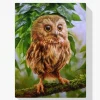 Pintura Diamante - Búho pequeño