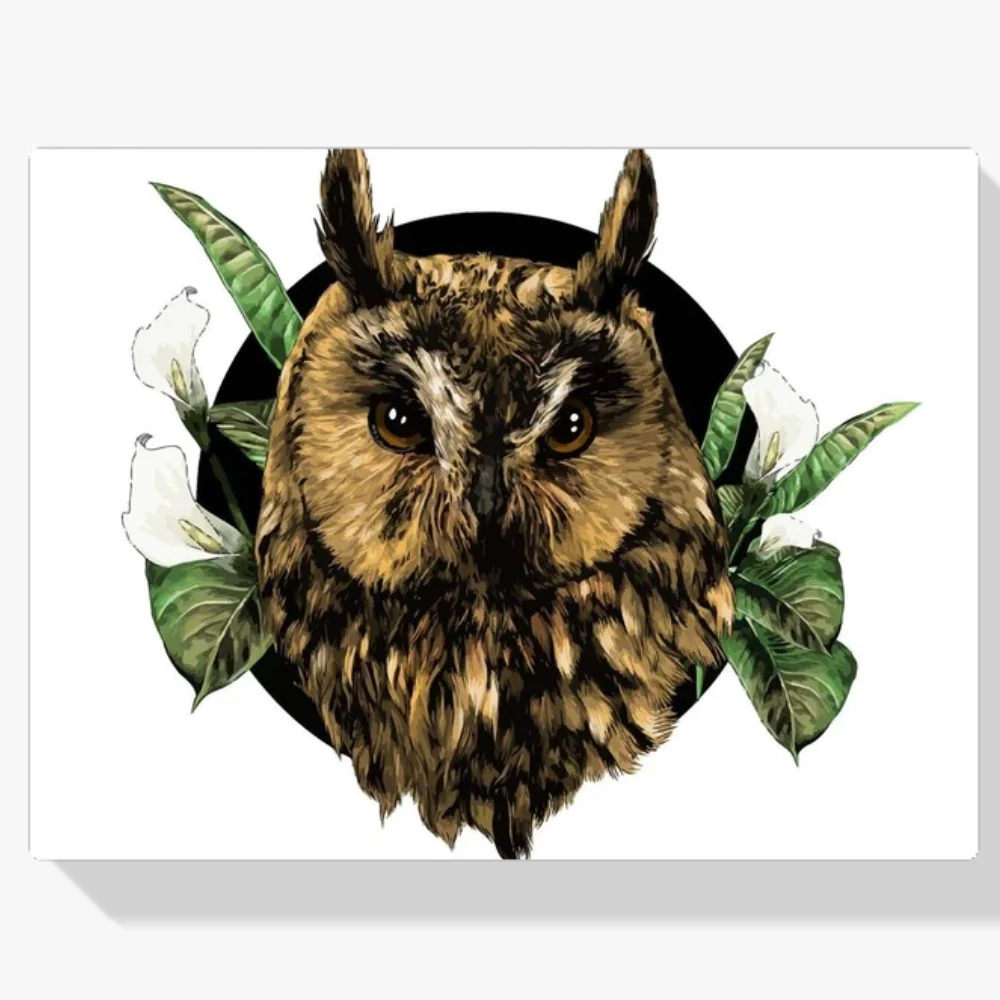 Pintura Diamante - Búho y flores