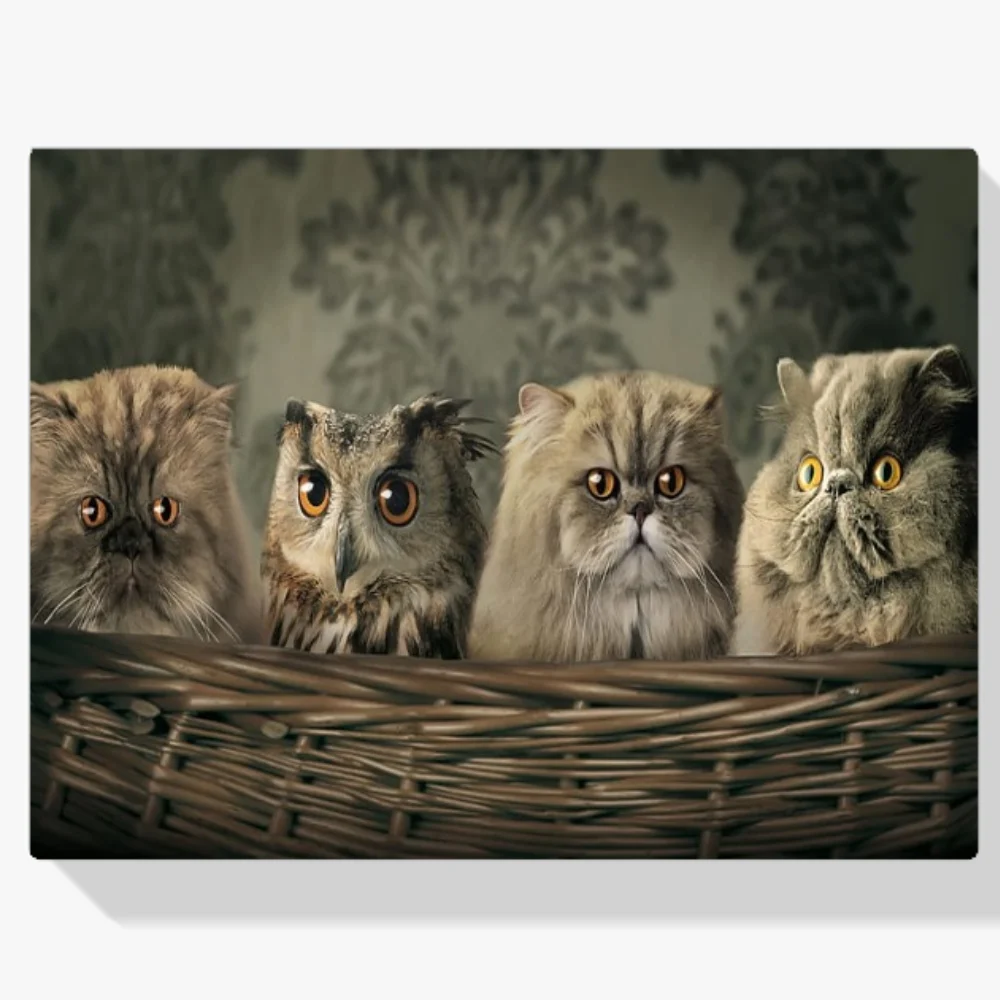 Pintura Diamante - Búho y gatos en una cesta