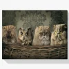 Pintura Diamante - Búho y gatos en una cesta