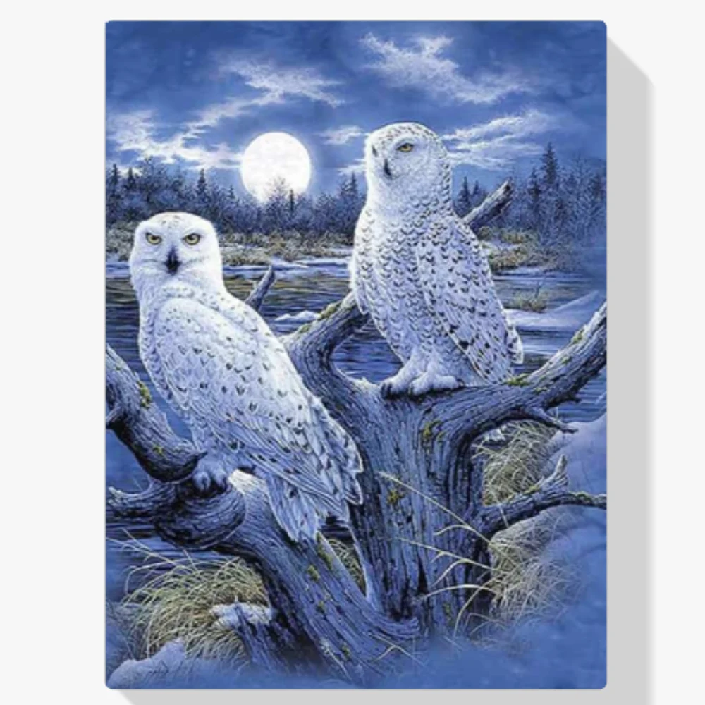 Pintura Diamante - Búhos de invierno