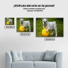 Pintura Diamante - Bulldog blanco con pelota