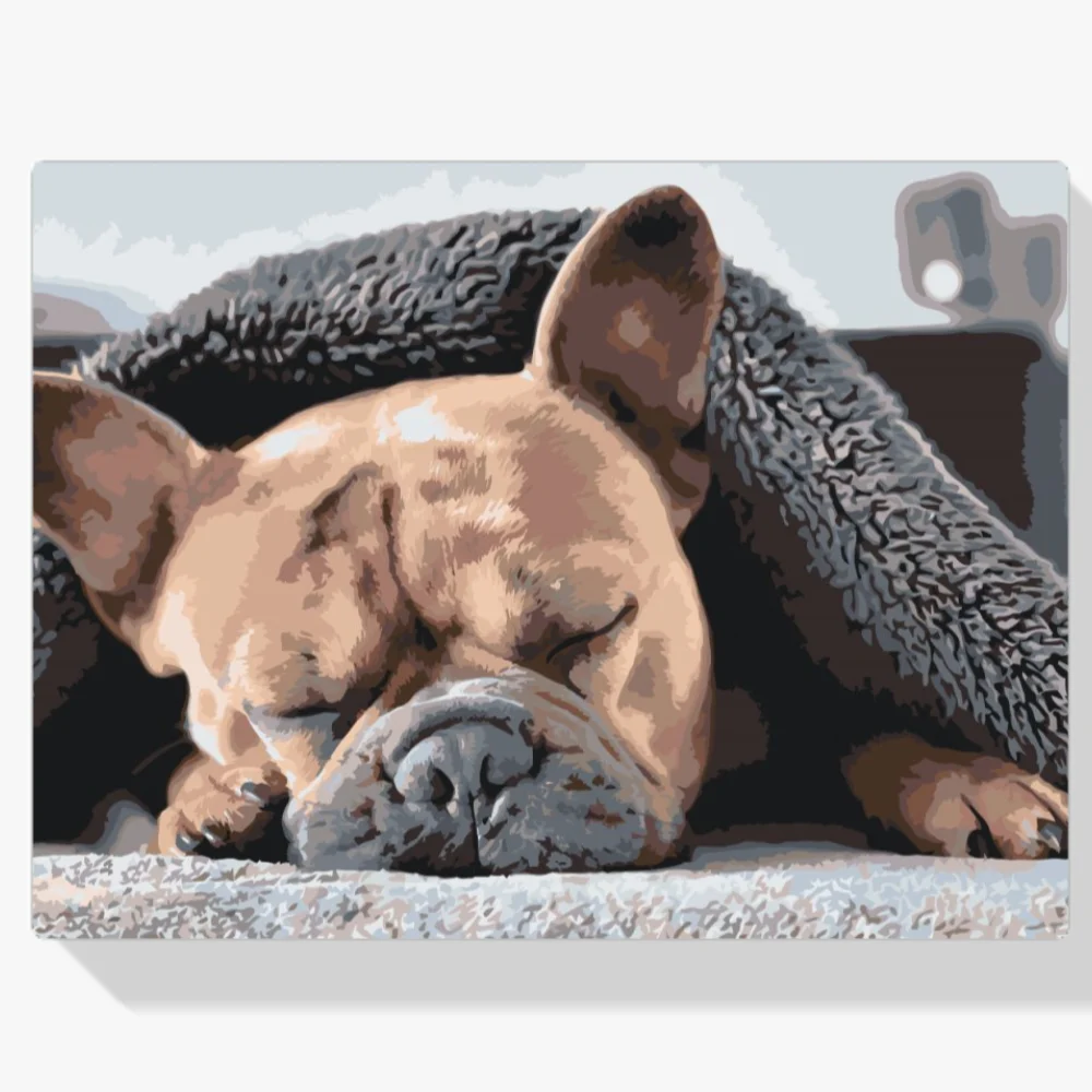 Pintura Diamante - Bulldog cansado