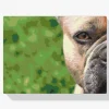 Pintura Diamante - Bulldog francés