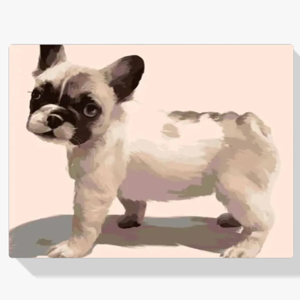 Pintura Diamante - Bulldog francés