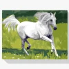 Pintura Diamante - Caballo blanco