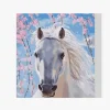 Pintura Diamante - Caballo blanco