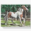 Pintura Diamante - Caballo en el corral