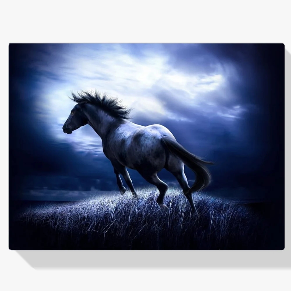 Pintura Diamante - Caballo en la oscuridad