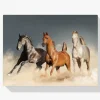 Pintura Diamante - Caballos al galope
