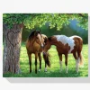 Pintura Diamante - Caballos bajo un árbol