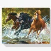 Pintura Diamante - Caballos en el agua