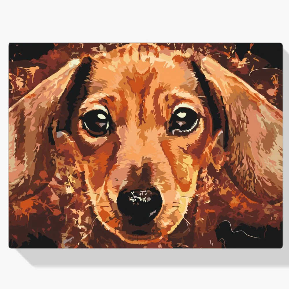 Pintura Diamante - Cabeza de perro salchicha
