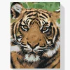 Pintura Diamante - Cabeza de tigre 2