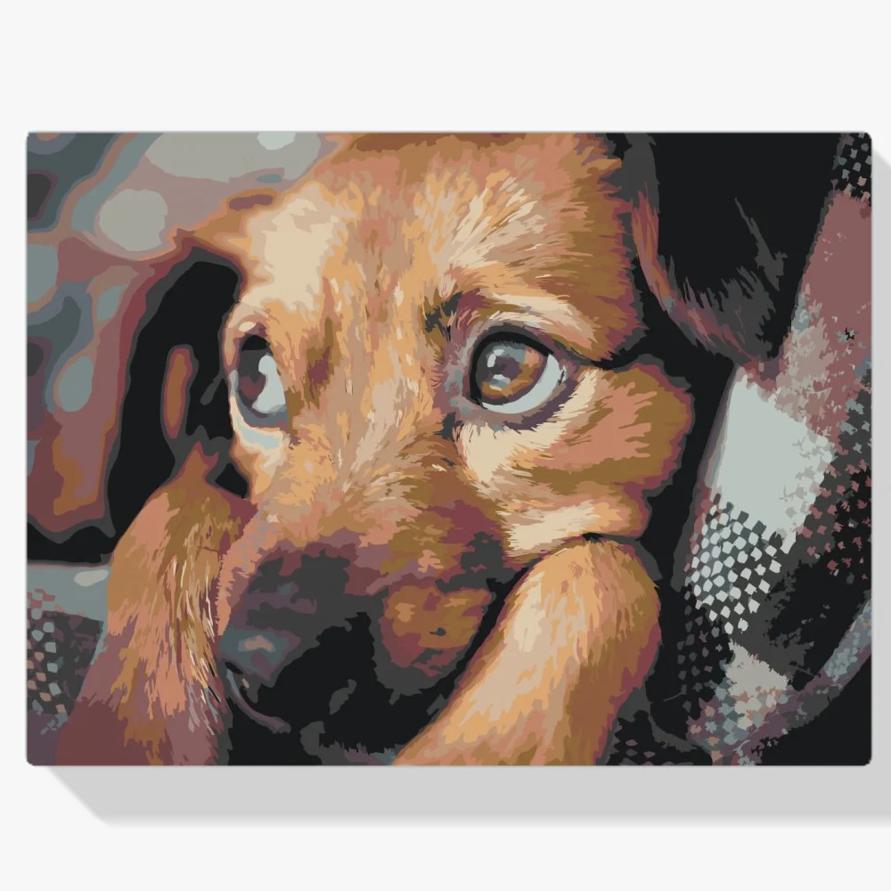 Pintura Diamante - Cachorro
