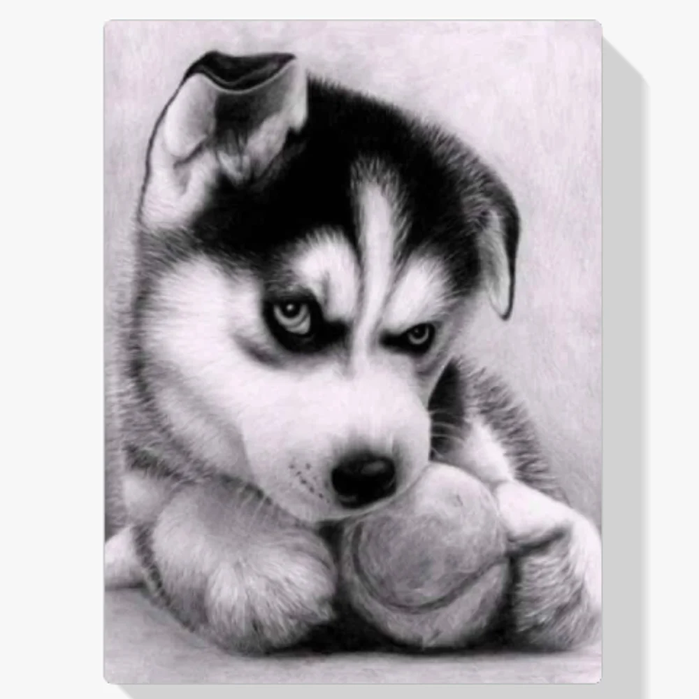 Pintura Diamante - Cachorro con balón