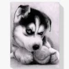 Pintura Diamante - Cachorro con balón