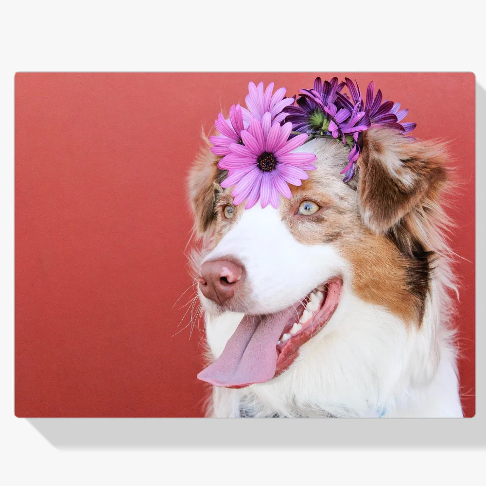 Pintura Diamante - Cachorro con flor en la cabeza