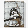 Pintura Diamante - Cachorro de 4 semanas
