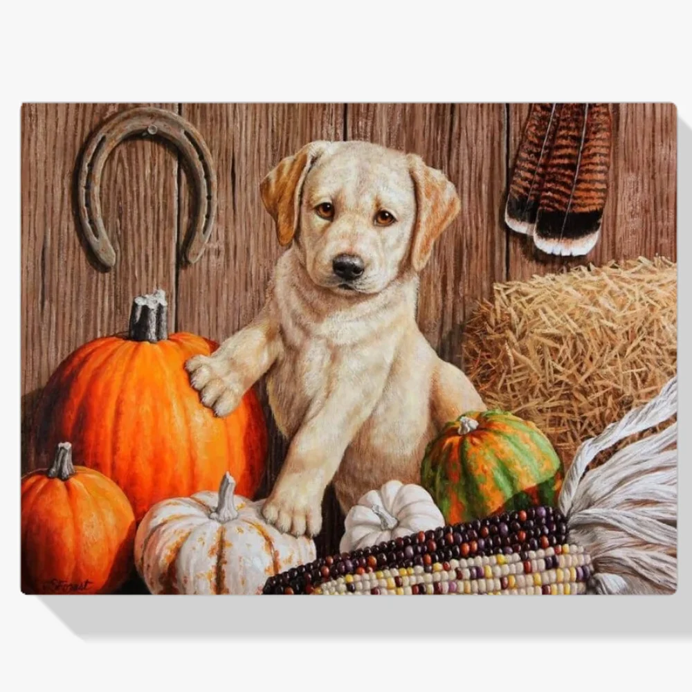 Pintura Diamante - Cachorro de la cosecha de calabaza