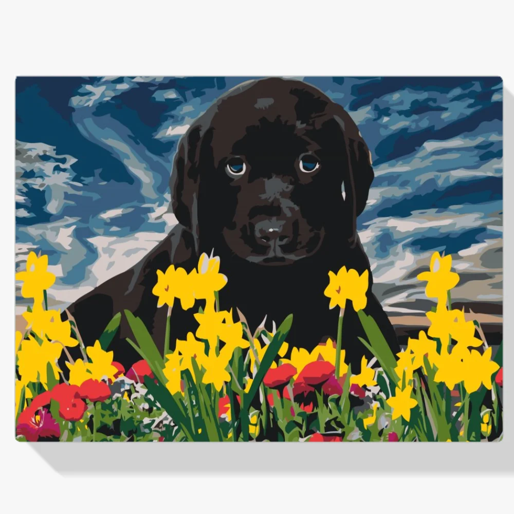 Pintura Diamante - Cachorro de labrador