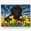 Pintura Diamante - Cachorro de labrador