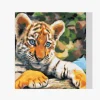 Pintura Diamante - Cachorro de tigre