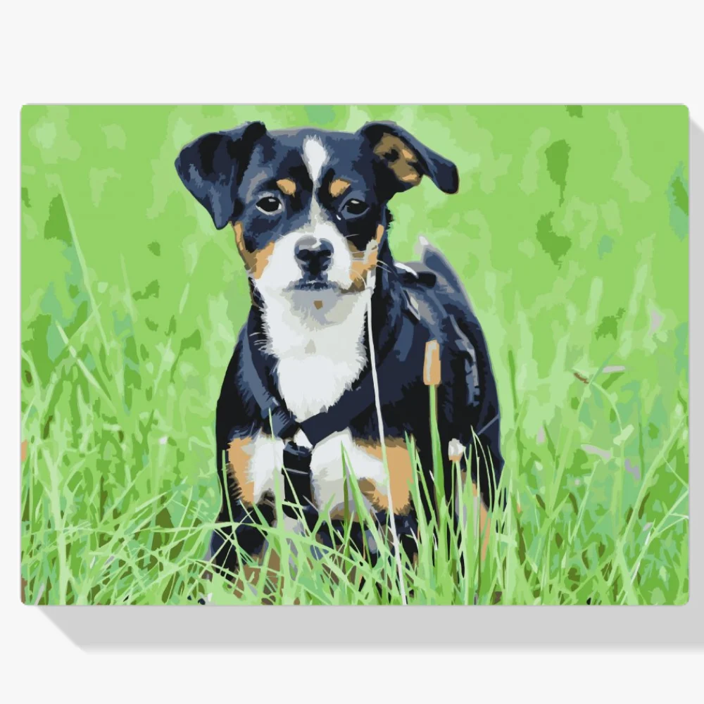 Pintura Diamante - Cachorro en la hierba