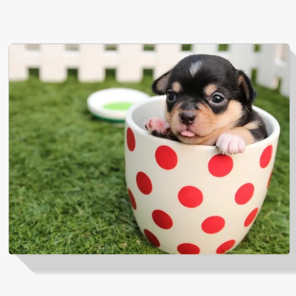 Pintura Diamante - Cachorro en una taza