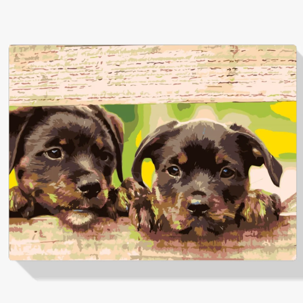 Pintura Diamante - Cachorros