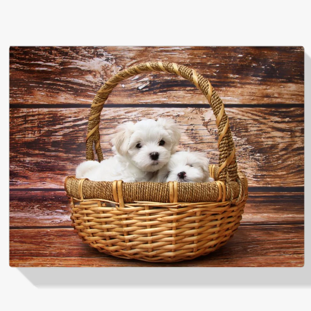Pintura Diamante - Cachorros en una canasta