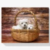 Pintura Diamante - Cachorros en una canasta