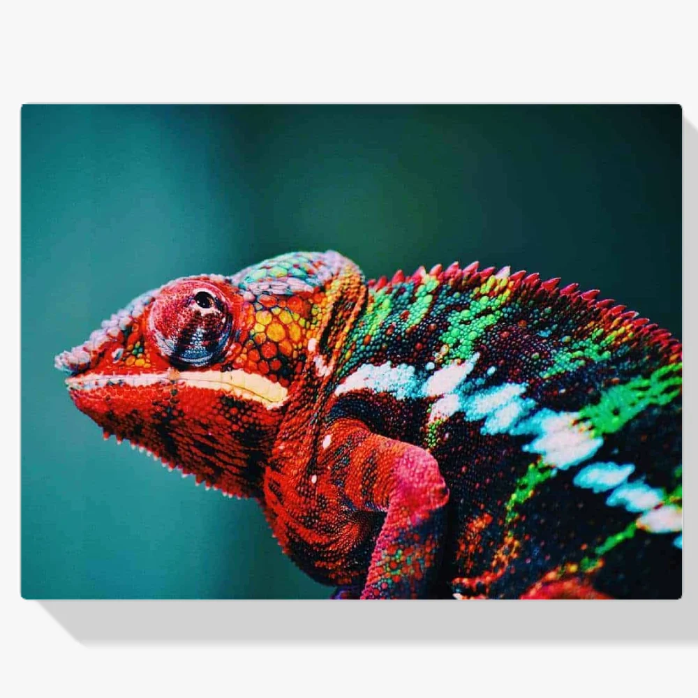 Pintura Diamante - Camaleón