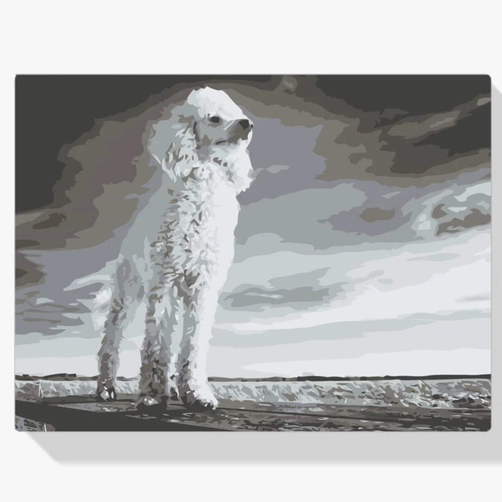 Pintura Diamante - Caniche