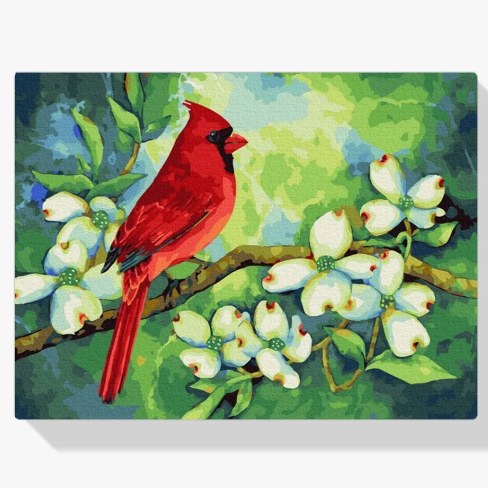 Pintura Diamante - Cardenal