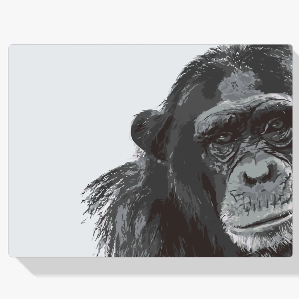 Pintura Diamante - Chimpancé
