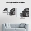 Pintura Diamante - Chimpancé