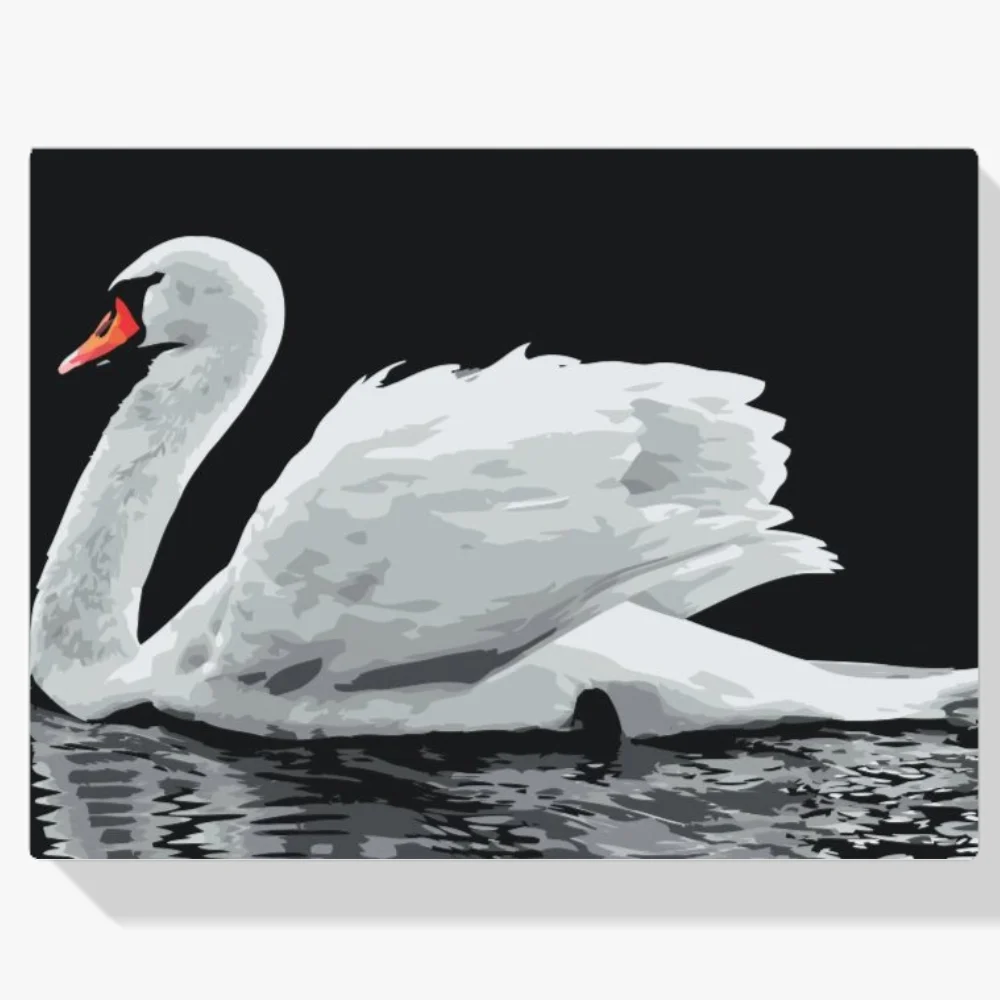 Pintura Diamante - Cisne blanco