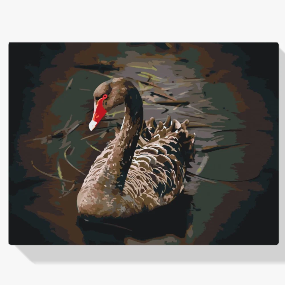 Pintura Diamante - Cisne negro