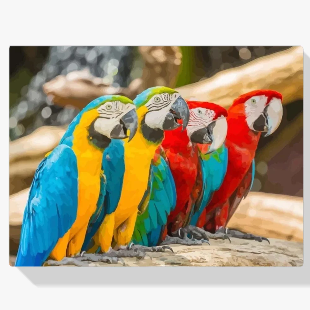 Pintura Diamante - Coloridos loros Makaw