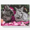 Pintura Diamante - Conejos entre las flores