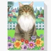 Pintura Diamante - Coon de primavera