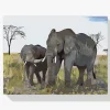 Pintura Diamante - Cría de elefante con madre